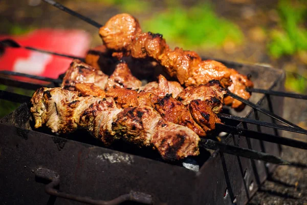 Carne Churrasco Fundo Close — Fotografia de Stock