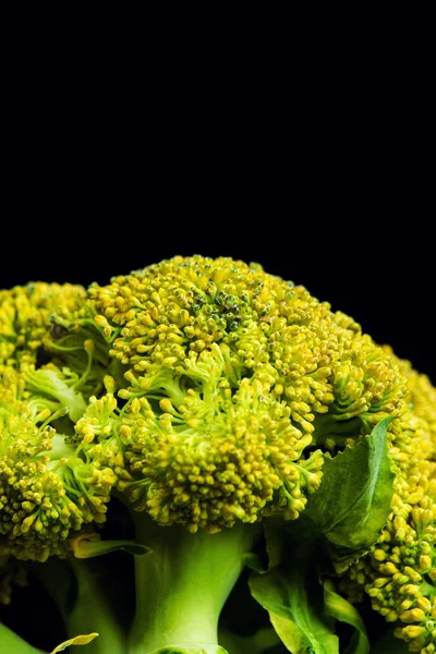 Broccoli isolated on black background — Stock Photo, Image