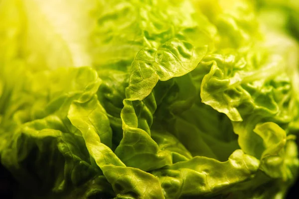 Ensalada verde fresca aislada sobre fondo negro —  Fotos de Stock