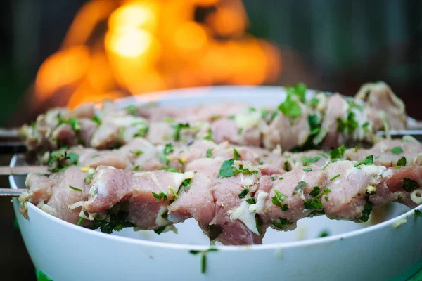 Grill Kött Bakgrunden Närbild — Stockfoto