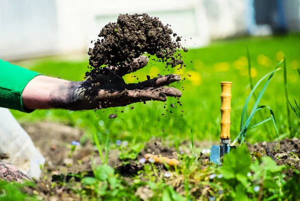 Gardener hands preparing soil for seedling in ground