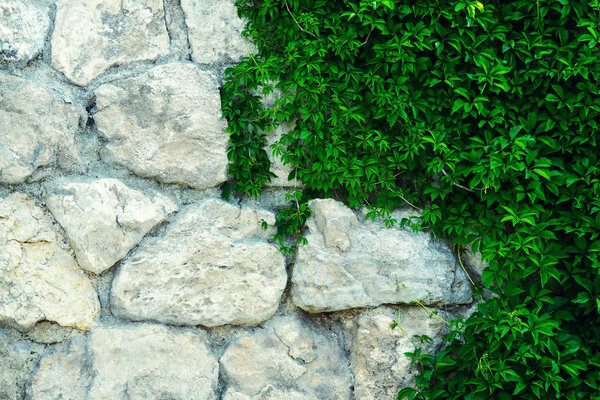 фон текстуры каменной стены