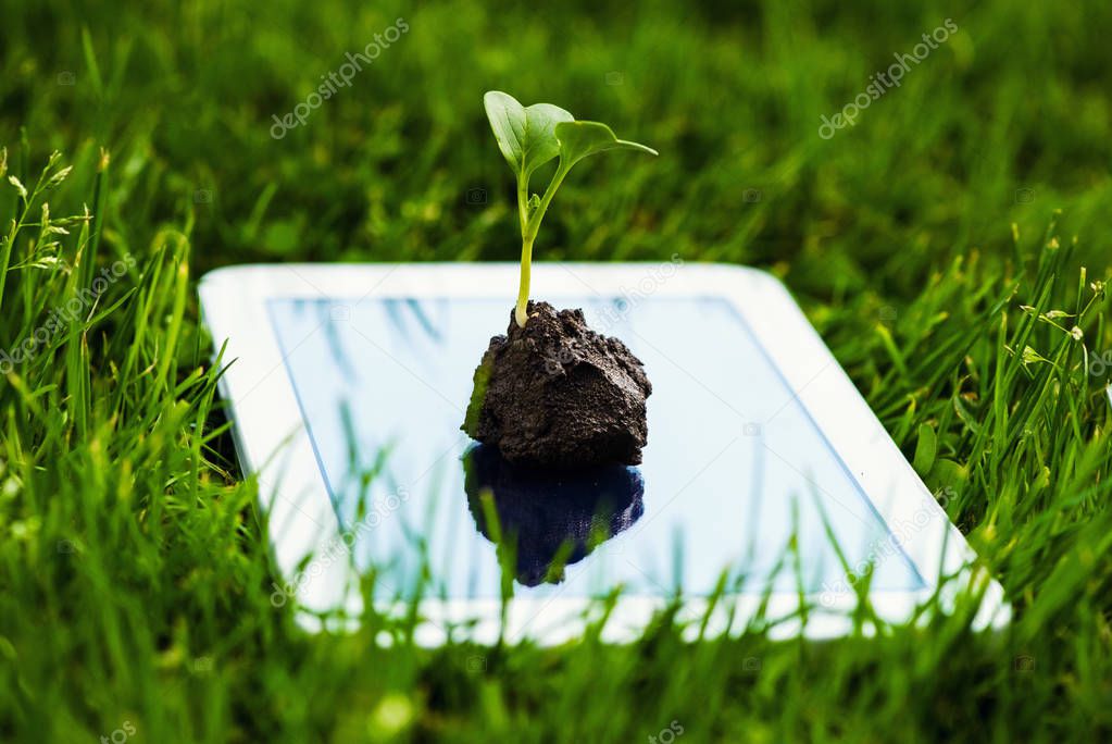 a touch screen of smartphone,tablet,cell phone with seedling gro