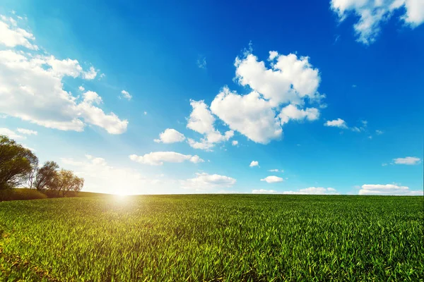 Grüne Wiese Unter Blauem Himmel Mit Wolken Szenisches Bild Der — Stockfoto