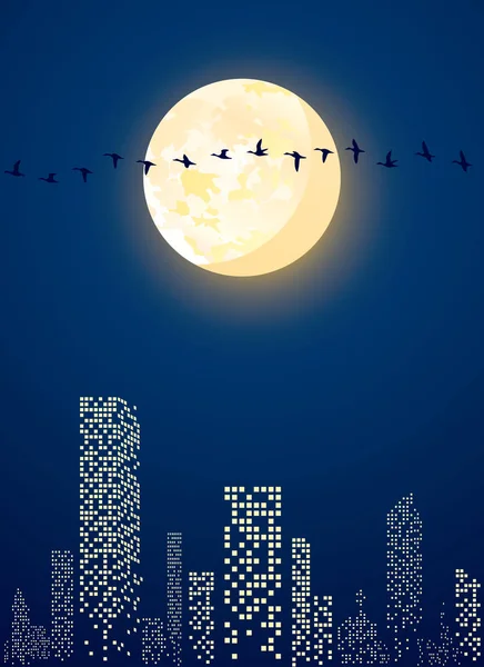 Illustrazione Vettoriale Della Notte Cittadina Con Illuminazione Lunare Uccelli Migratori — Vettoriale Stock