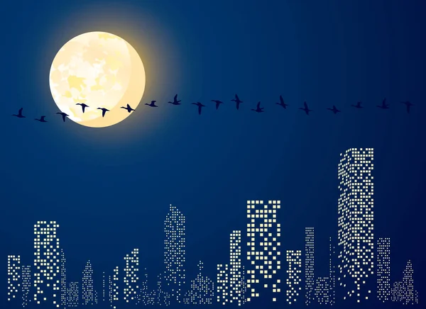 Vektor Illustration Stads Natten Med Månljus Och Flyttfåglar — Stock vektor