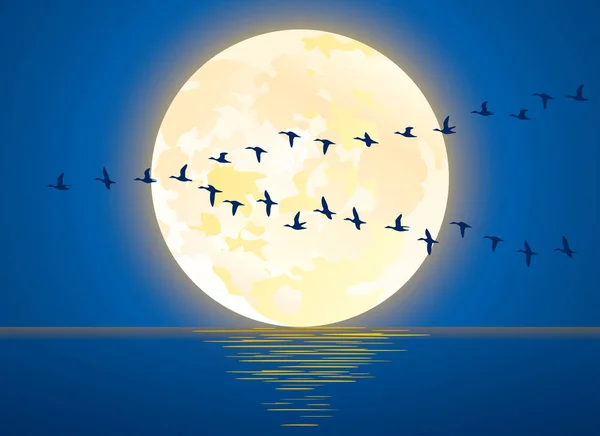 Contemporary Vector Illustration Rising Full Moon Ocean Migratory Birds — Stock Vector