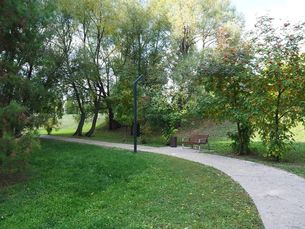 秋天公园的一个舒适的角落 有高山灰树 — 图库照片