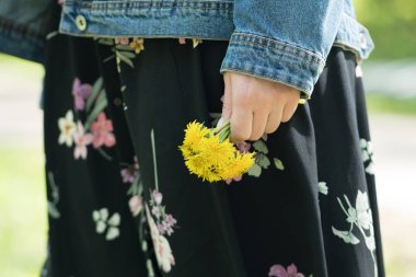 Kız sarı dandelions yakın çekimler onun elinde tutuyor