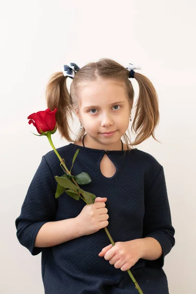 Маленькая Девочка Стоит Красной Розой — стоковое фото