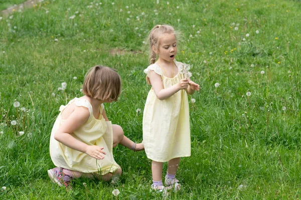 Zwei Mädchen Auf Grünem Gras Mit Löwenzahn Gelben Kleidern — Stockfoto