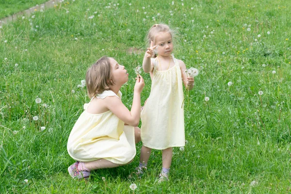 Two Girls Green Grass Dandelions Standing Yellow Dresses — Stock Photo, Image