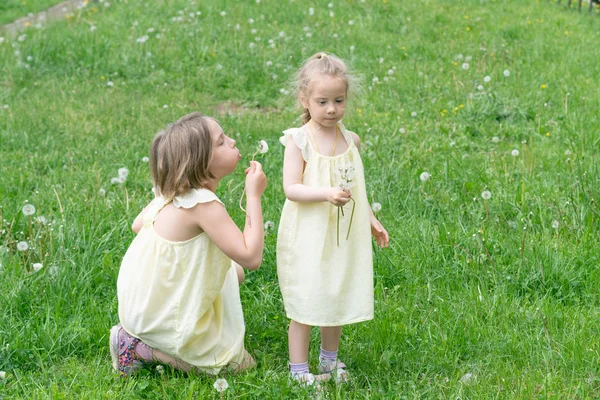 Две Девушки Зеленой Траве Одуванчиками Стоящими Желтых Платьях — стоковое фото