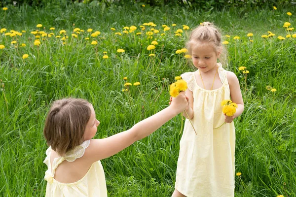 Two Girls Standing Green Grass Yellow Dresses Dandelions — Stock Photo, Image