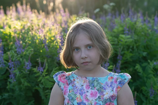 Portret Letniej Dziewczyny Latem Polu — Zdjęcie stockowe