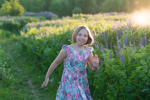 Portrait Little Girl Summer Field Dress Stock Image