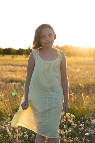 Porträt Eines Kleinen Mädchens Sommer Auf Einem Feld — Stockfoto