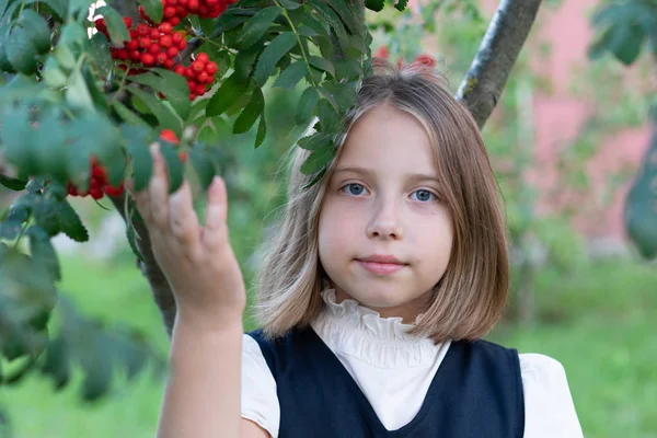Mała Dziewczynka Stoi Pobliżu Popiołu Górskiego — Zdjęcie stockowe