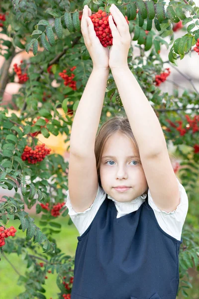 Mała Dziewczynka Stoi Pobliżu Popiołu Górskiego — Zdjęcie stockowe