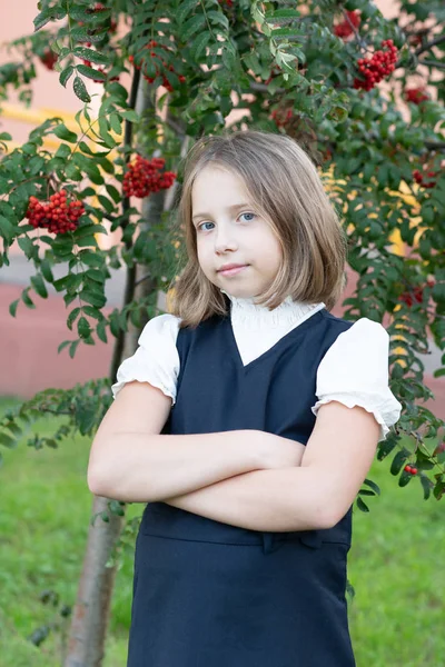 Mała Dziewczynka Stoi Pobliżu Popiołu Górskiego — Zdjęcie stockowe