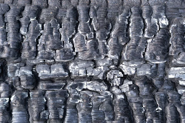 Textura Madera Negro Quemado Pared Madera Exterior — Foto de Stock