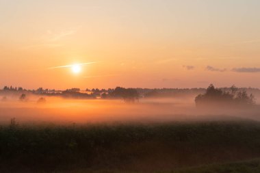 Yazın bir tarlada güzel turuncu gün batımı
