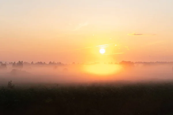 Vacker Sommar Solnedgång Fältet Orange Sol Över Ett Fält Med — Stockfoto