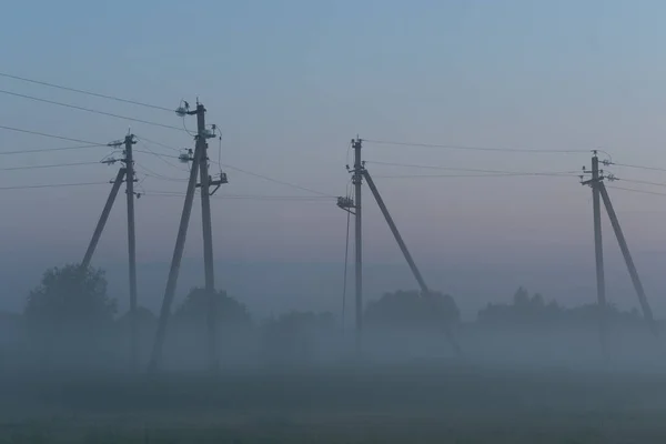 Electric Poles Stand Green Field Summer — Stock Photo, Image