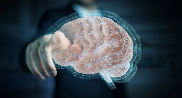 Nsan Beyninin Render Dijital Projeksiyon Kullanarak Arka Plan Bulanık Üzerinde — Stok fotoğraf