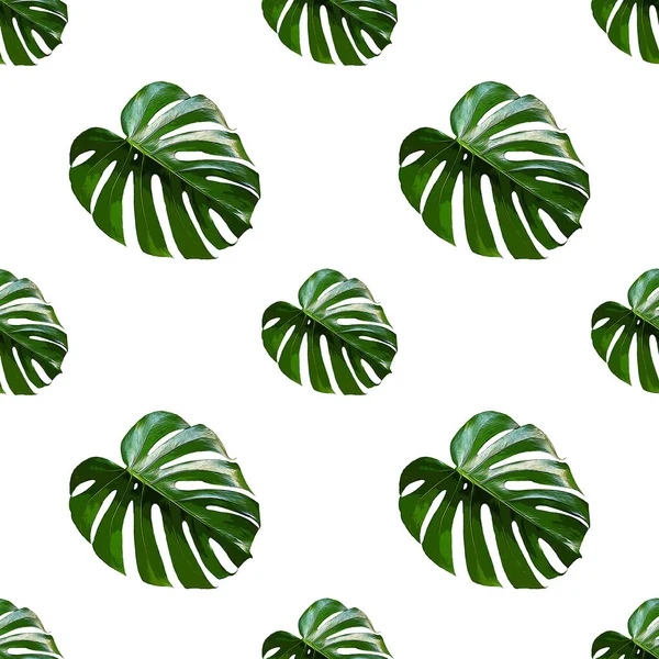モンステラデリコサの葉のシームレスなパターン ジャングル植物と現代の熱帯の背景 ヤシの葉と緑のエキゾチックなパターン — ストック写真