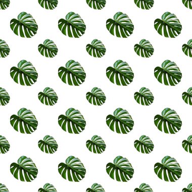 Monstera Deliciosa yaprağı pürüzsüz desen. Orman bitkileriyle modern tropikal arka plan. Palmiye yapraklı yeşil egzotik desen