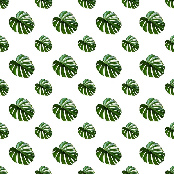 Monstera Deliciosa Blad Naadloos Patroon Moderne Tropische Achtergrond Met Jungle — Stockfoto