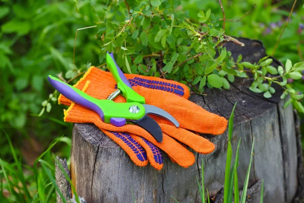 庭で働くための剪定機付きの庭の手袋 — ストック写真