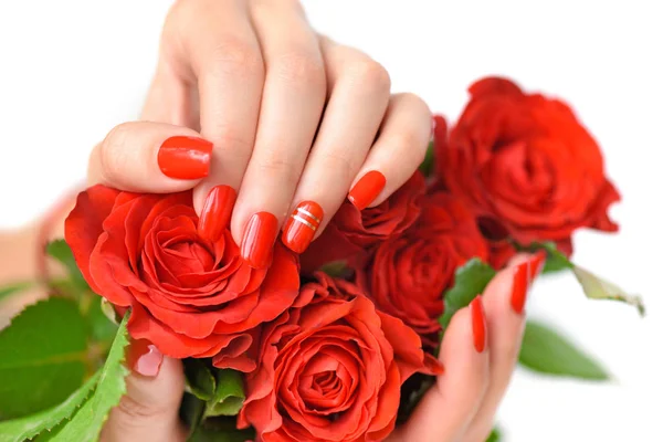 女性美丽的手与红色指甲和猩红玫瑰在白色背景 — 图库照片