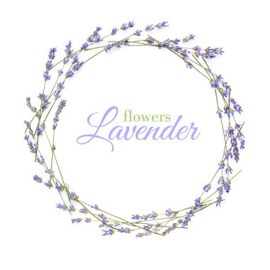 Daire içinde beyaz bir arka plan üzerinde metin için yer ile lavanta tanzimi