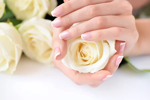 Manos Una Mujer Con Hermosa Manicura Francesa Rosas Blancas —  Fotos de Stock