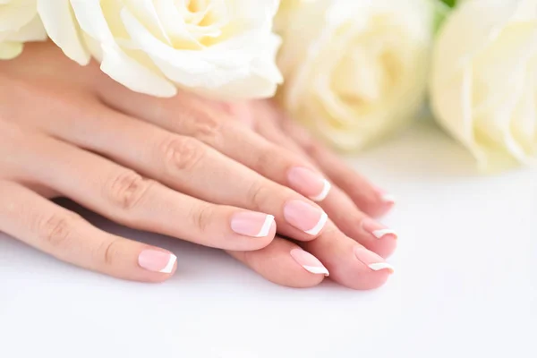 Mãos Uma Mulher Com Bela Manicure Francesa Rosas Brancas — Fotografia de Stock