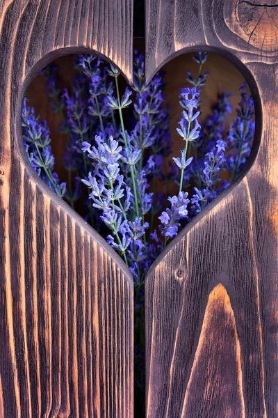 Wooden Background Heart Flowers Lavender — Stock Photo, Image