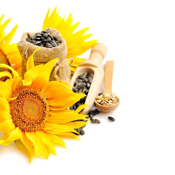 Gele Zonnebloemen Met Houten Lepel Een Zakje Zaden Een Witte — Stockfoto