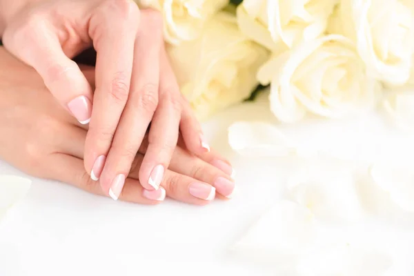 Mãos Uma Mulher Com Bela Manicure Francesa Rosas Brancas — Fotografia de Stock