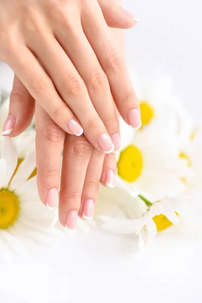 Bela Mulher Francês Mãos Bem Cuidadas Com Flores Frescas Margarida — Fotografia de Stock