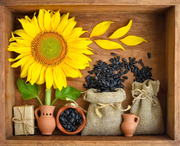 Schöne Komposition Mit Sonnenblumen Und Samen Säcken Auf Holzgrund — Stockfoto