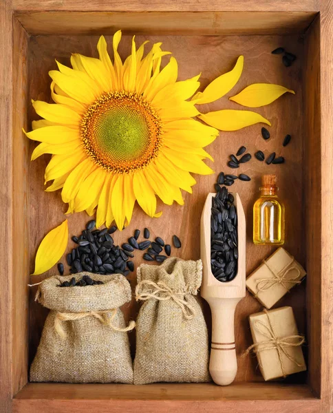 Schöne Komposition Mit Sonnenblumen Und Samen Säcken Auf Holzgrund — Stockfoto