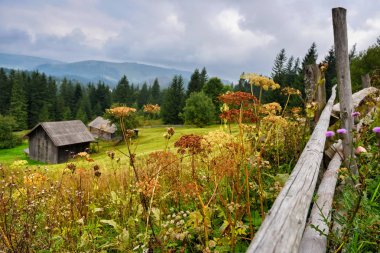 Karpatlar dağlar eski kulübede. Sonbahar günü