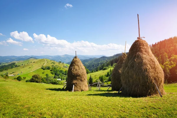 Haystacks Ile Güneşli Güzel Kırsal Dağ Manzarası — Stok fotoğraf