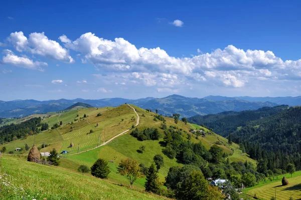 Hermoso Día Soleado Está Paisaje Montaña Cárpatos Ucrania —  Fotos de Stock