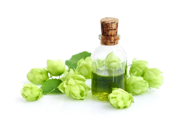 Hop Cones Humulus Medicinal Plant Extract Glass Bottle Isolated White — Stock Photo, Image