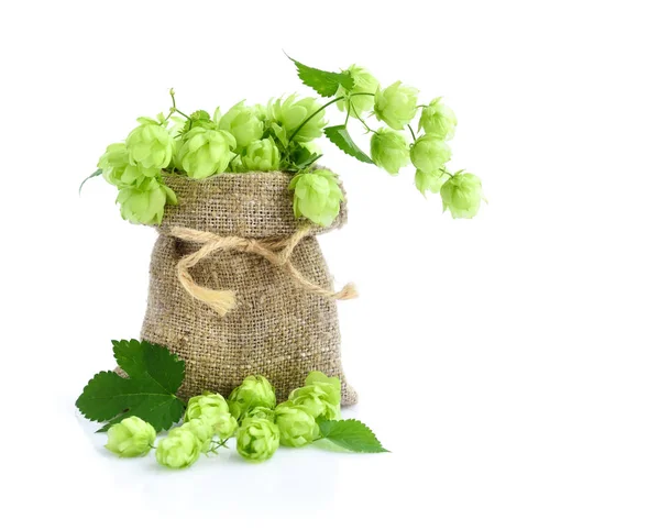 Lúpulo Verde Fresco Bolsa Arpillera Con Rama Sobre Fondo Blanco — Foto de Stock