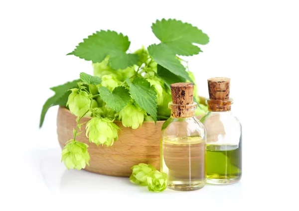 Cônes Houblon Humulus Avec Extrait Plante Médicinale Bouteilles Verre Isolées — Photo