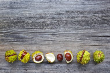 kestane kopya alanı metniniz için eski ahşap zemin üzerine. Üstten Görünüm